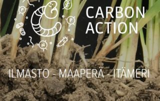 Carbon Action