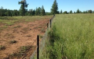 Ennen ja jälkeen uudistavien toimenpiteiden