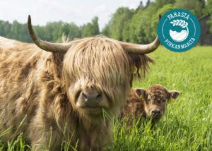 Mantereen tila, ruokatarinoita Pirkanmaalta