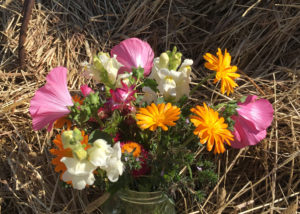 Haltijan tila, ruokatarinoita Pirkanmaalta