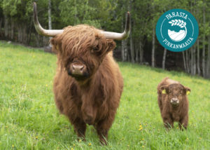 Maatila Tahlo, ruokatarinoita Pirkanmaalta